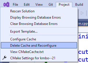 Visual Studio CMake cache clean